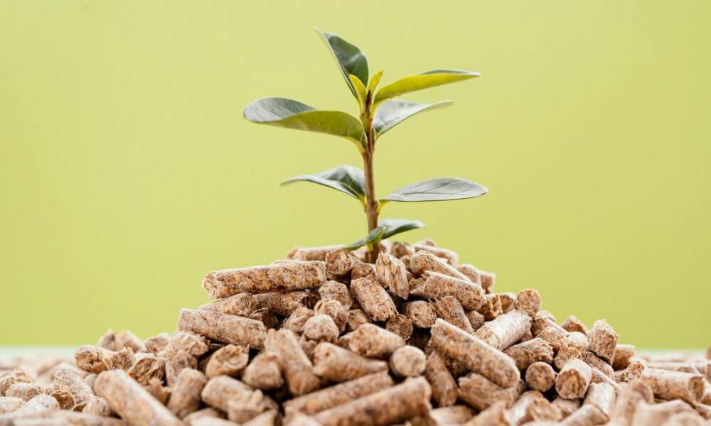 Los pellets son biodegradables y reducen la huella de carbono de la estufa