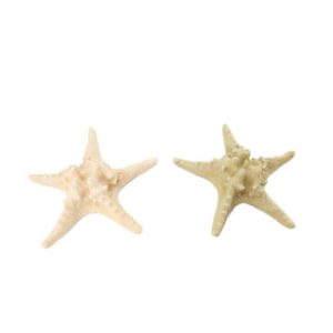 Figura estrella de mar de poliresina 19x19x5,8 cm