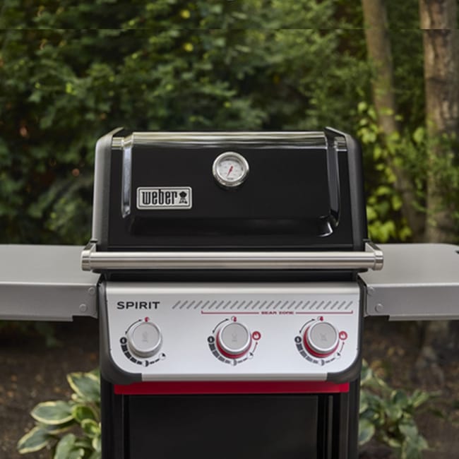 Barbacoa Weber Spirit en jardín verde