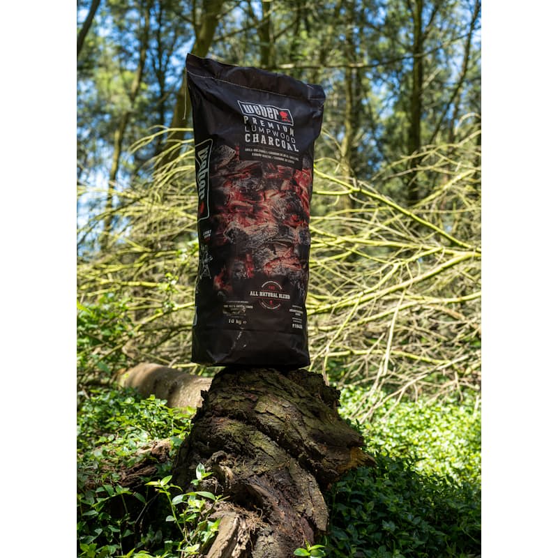 Bolsa de carbón en un entorno natural