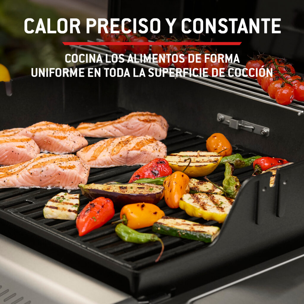 Parrilla con salmón y verduras asándose