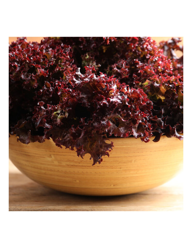 Cuenco de madera con lechuga roja fresca