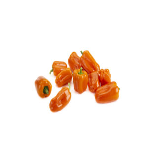Pimientos mini naranjas sobre fondo blanco