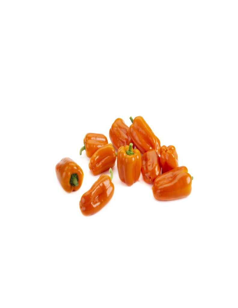 Pimientos mini naranjas sobre fondo blanco