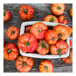 Tomates grandes y maduros en cesta rústica