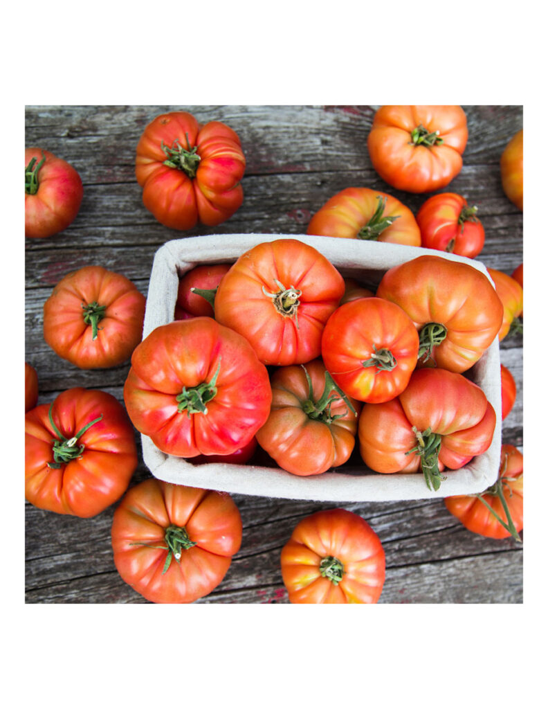 Tomates grandes y maduros en cesta rústica