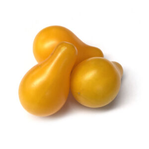 Tres tomates amarillos con forma de pera