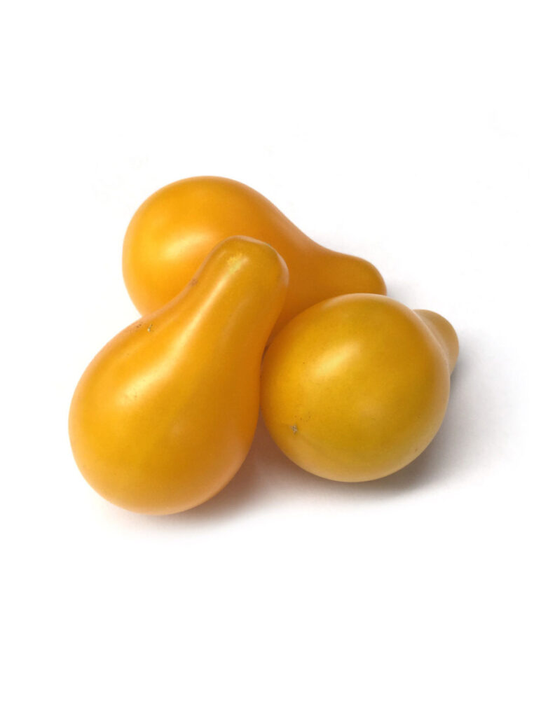 Tres tomates amarillos con forma de pera
