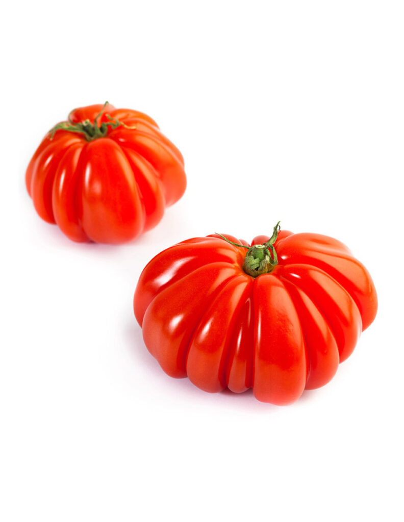 Dos tomates grandes y acanalados sobre fondo blanco