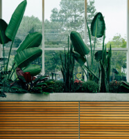 Plantas tropicales junto a ventanal en interior moderno