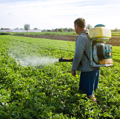 Agricultor fumigando cultivos con mochila pulverizadora