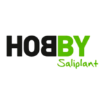 hobbysaliplant (1)